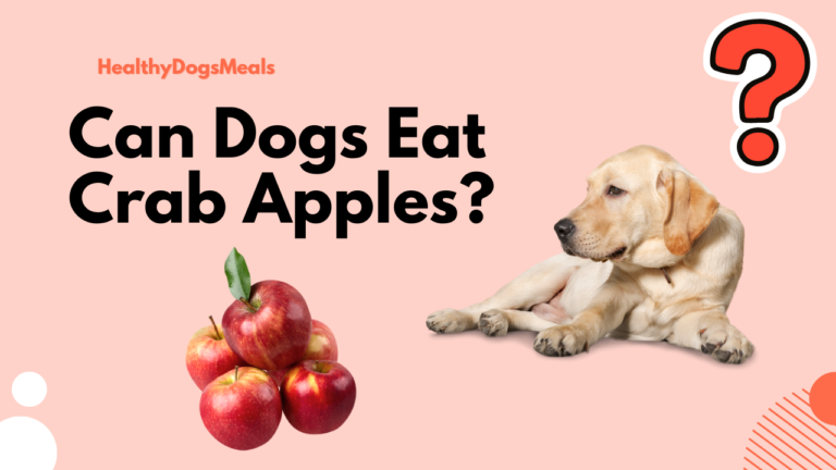 Can Dogs Eat Crab Apples?
