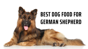 Best dog food for German Shepherd