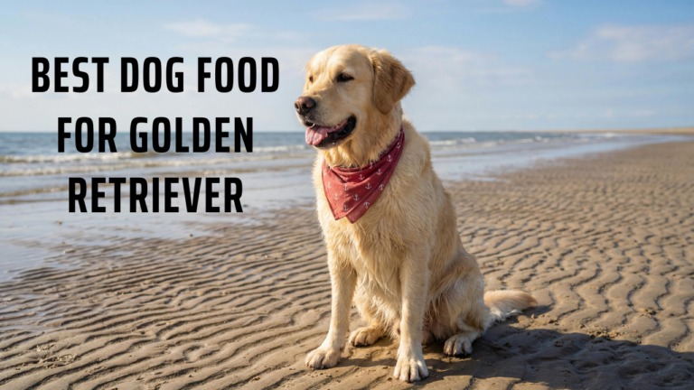 Best Dog Food for Golden Retriever