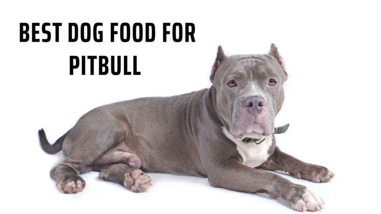 Best Dog Food for Pitbull