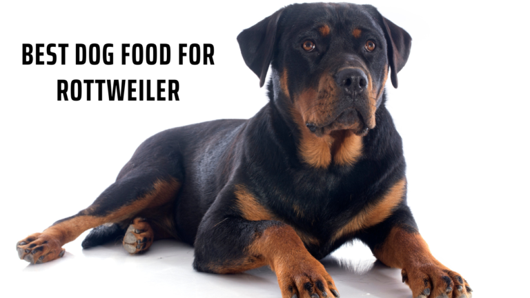 Best Dog Food for Rottweiler