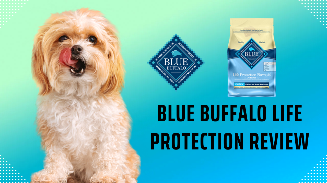 Blue Buffalo Life Protection Review