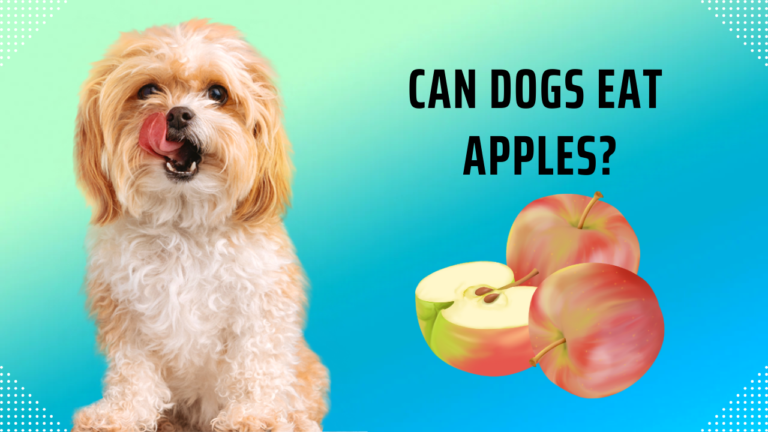 Can Dogs Eat Apples