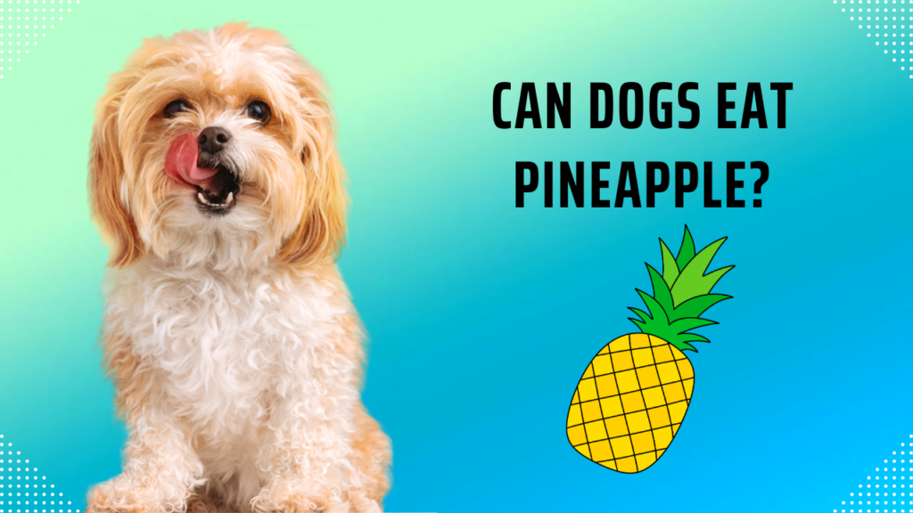 Can Dogs Eat Pineapple