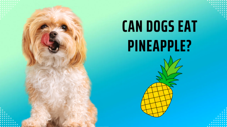 Can Dogs Eat Pineapple