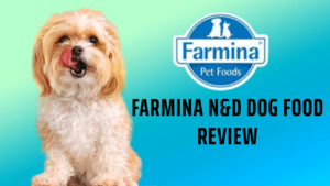 Farmina N&D Dog Food Review