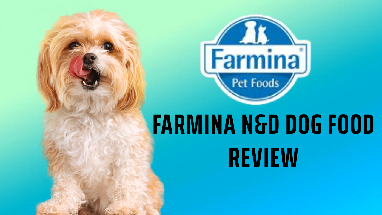 Farmina N&D Dog Food Review