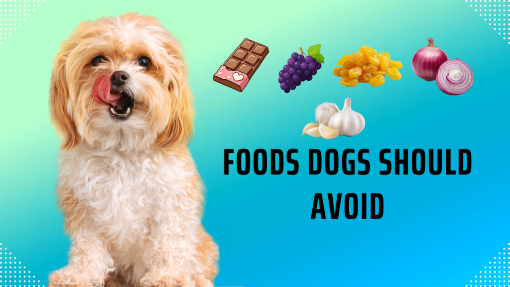 Foods Dogs Should Avoid