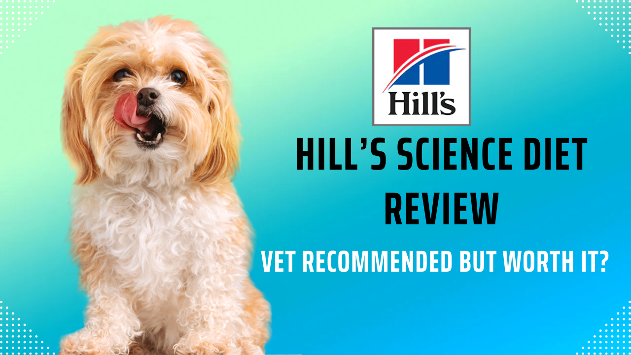 Hill’s Science Diet Review