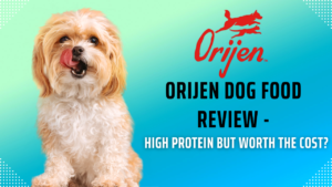 Orijen Dog Food Review
