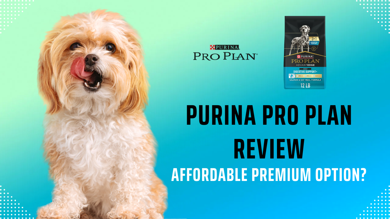 Purina Pro Plan Review