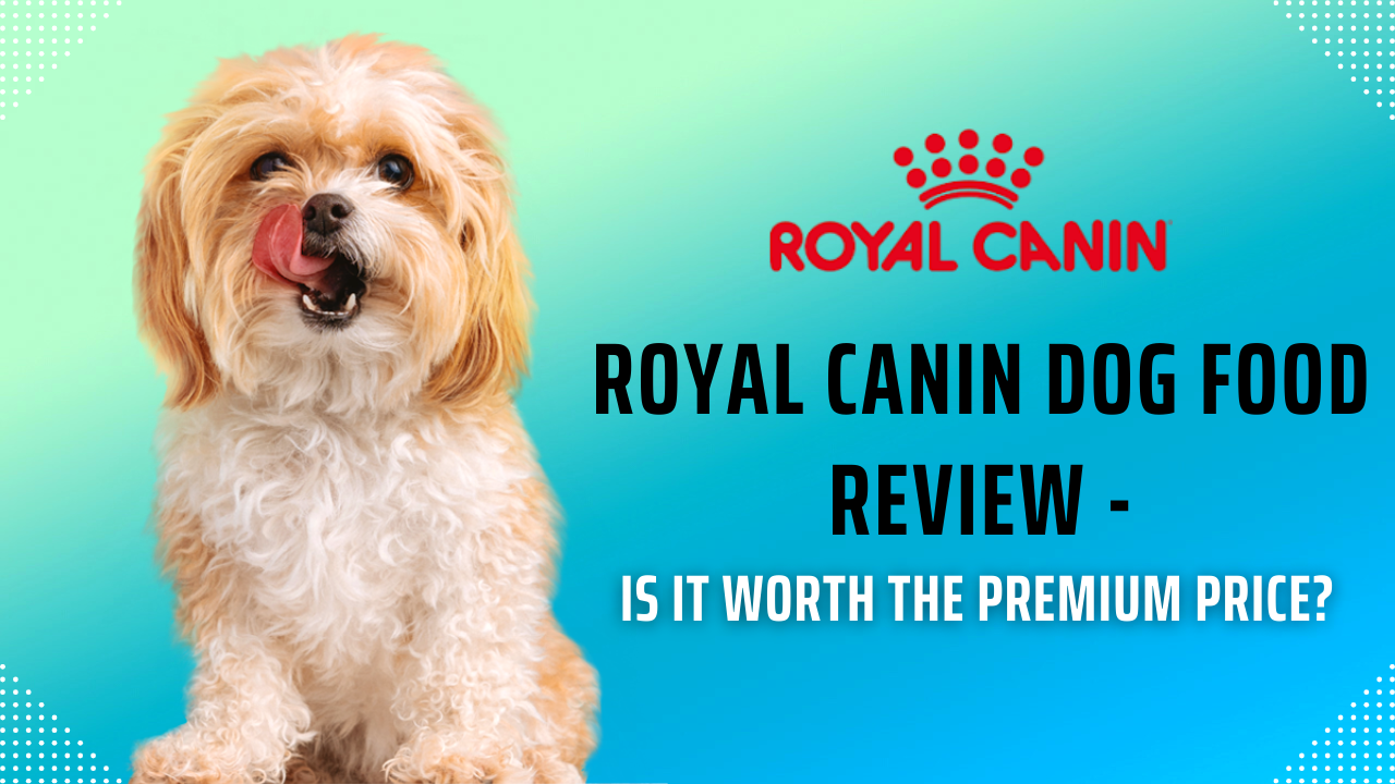 Royal Canin Dog Food Review