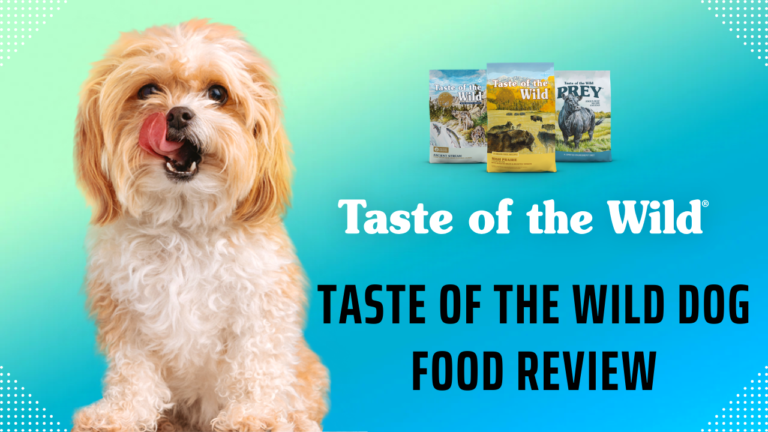 Taste of the Wild Dog Food Review
