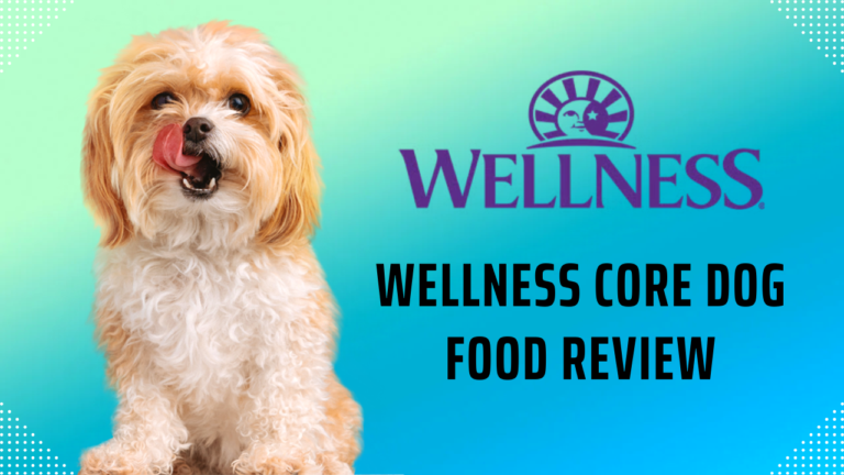 Wellness Core Dog Food Review