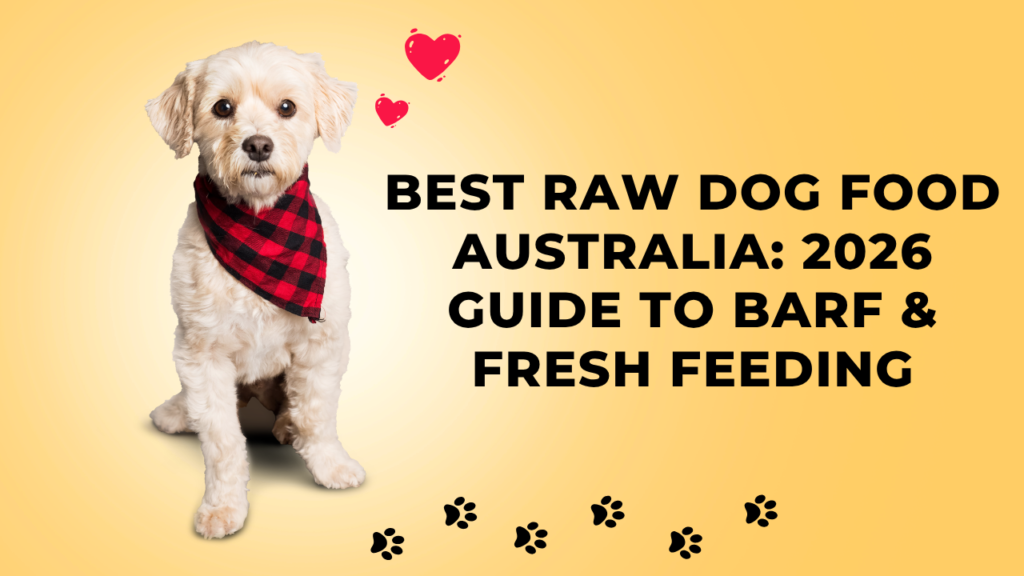 Best Raw Dog Food Australia
