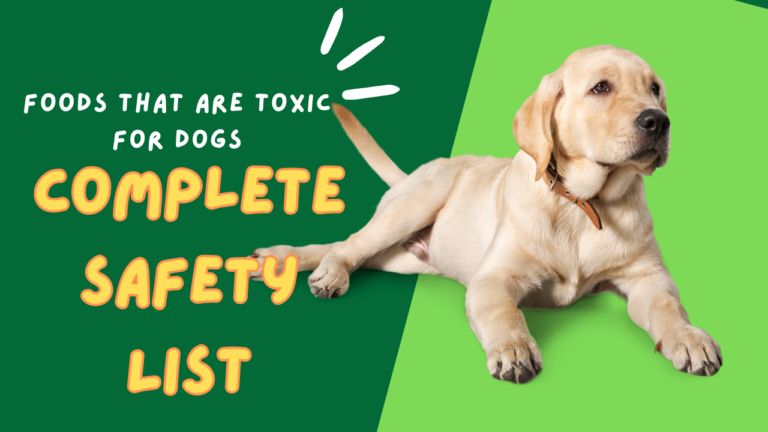 Foods That Are Toxic for Dogs: Complete Safety List