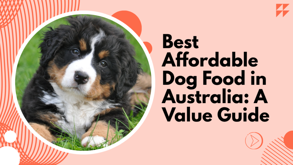 Best Affordable Dog Food in Australia: A Value Guide