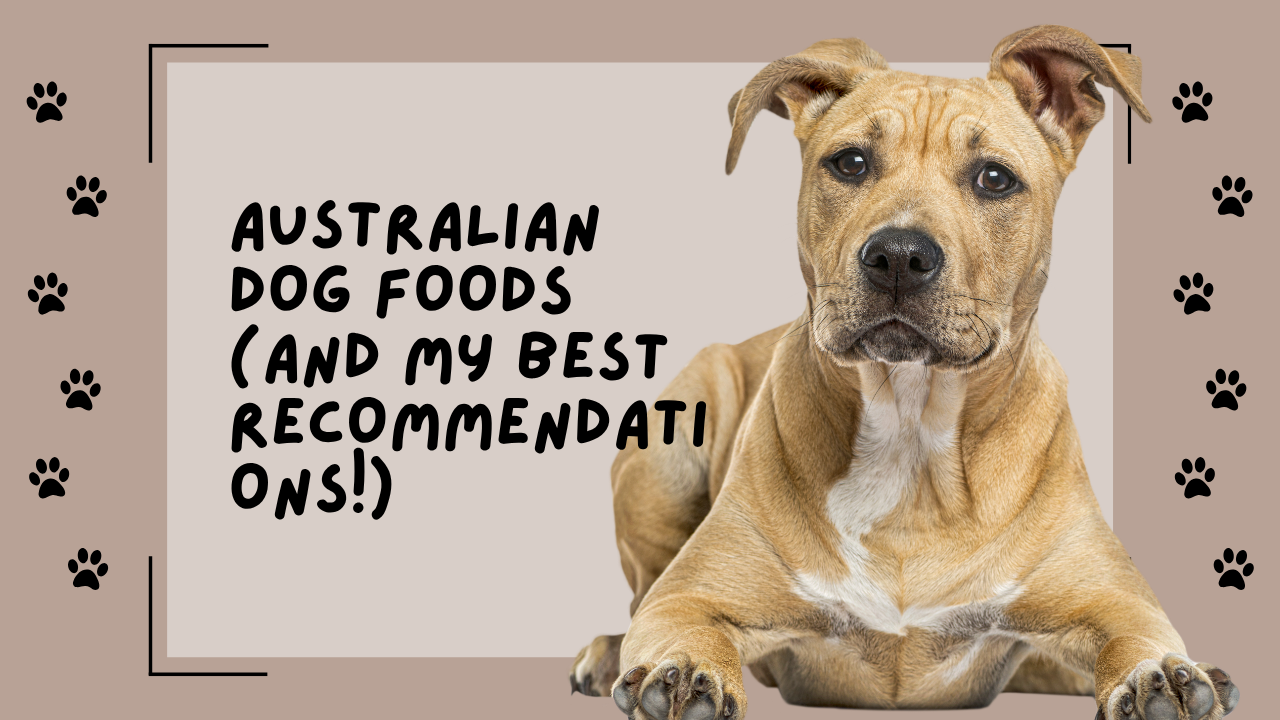 Australian Dog Foods