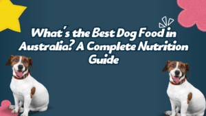 What’s the Best Dog Food in Australia? A Complete Nutrition Guide