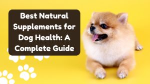 Best Natural Supplements for Dog Health: A Complete Guide