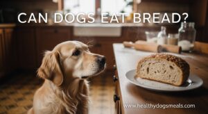 Can Dogs Eat Bread