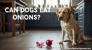 Can Dogs Eat Onions
