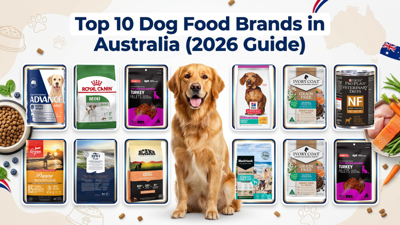 Top 10 Dog Food Brands in Australia